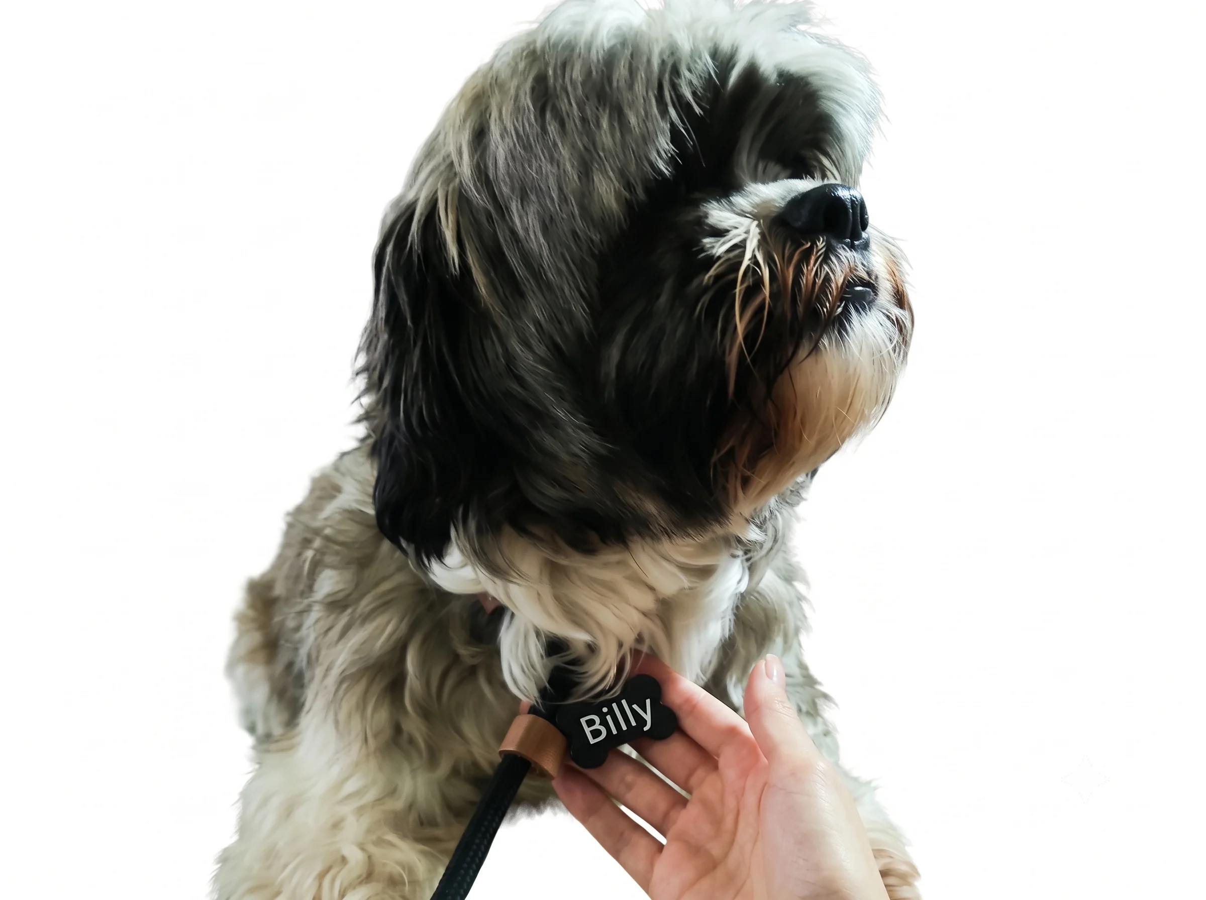 Tag de identificação pet personalizada - Imagem 1